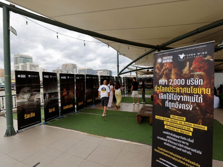 Exhibition-OWA-Investigation_3_resize-5pwVk3.jpg